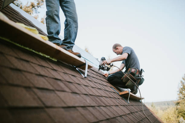 Roof Insulation in Orangeburg, SC